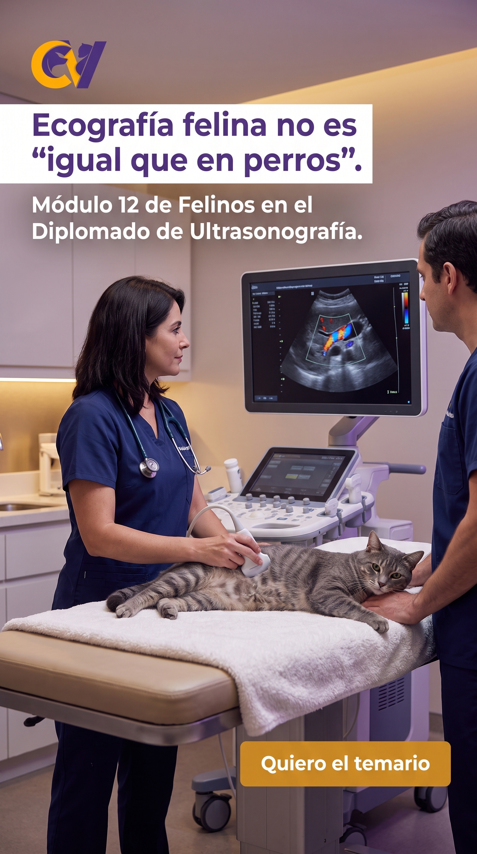 Ecografía abdominal en un gato